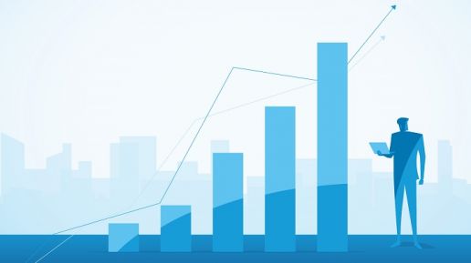 Polish Company Holds Over 20 Per Cent of ERP Market for First Time