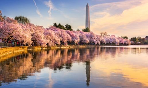 The Road to E-Invoicing Mandates in the United States – Part Two